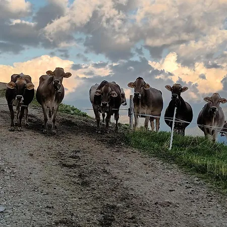 Farm stay Himmenhof